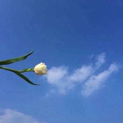 赛博朋克世界官方版下载