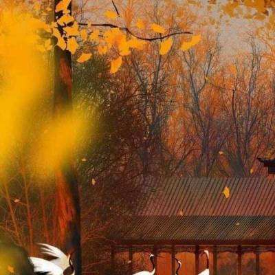 SY球球大作战助手下载